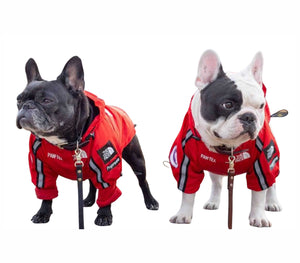 The Dog Face™ Hooded Jacket by Seth Pet®